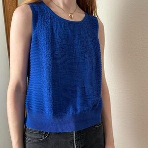 Vintage Celestial Royal Blue Sweater Tank Size P Medium Preppy Business Casual